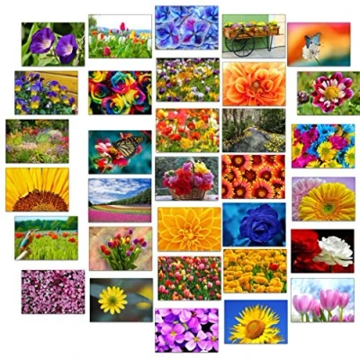 Abbildung von 32 Grußkarten bunte Blumen Klappkarten mit Umschlägen &amp; Garten…