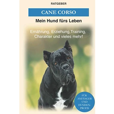 Abbildung von Cane Corso: Erziehung, Training, Charakter von Corso Der Ratgeber (Hunderassen)