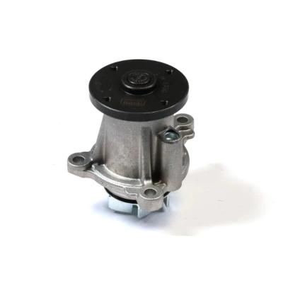 Abbildung von HEPU P7852 Wasserpumpe mit Dichtung mechanisch