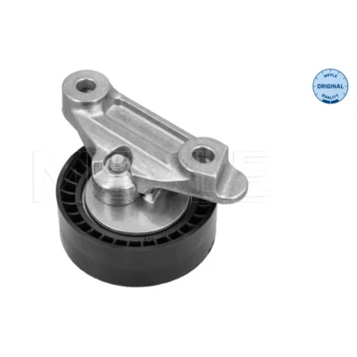 Abbildung von MEYLE 100 009 0021 Spannrolle mit Zubehör SEAT: Ibiza 4 ST