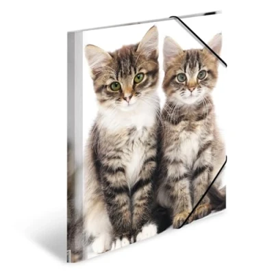 Abbildung von HERMA 7138 Sammelmappe DIN A4 Tiere Katzen, 3er Set, stabiler Kunststoff, Ordnungsmappe mit bedruckten Innenklappen und Gummizug, Dokumentenmappe für Kinder, Jungen Mädchen