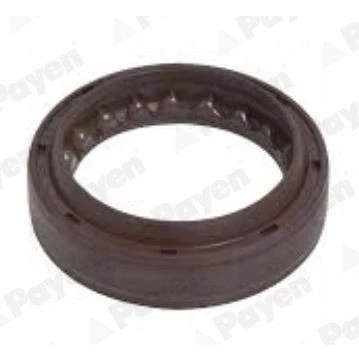 Abbildung von PAYEN NJ962 Wellendichtring, Schaltgetriebe
