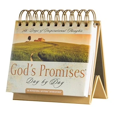 Abbildung von DaySpring Flip Kalender God&#039;s Promises Tag für 77872, braun