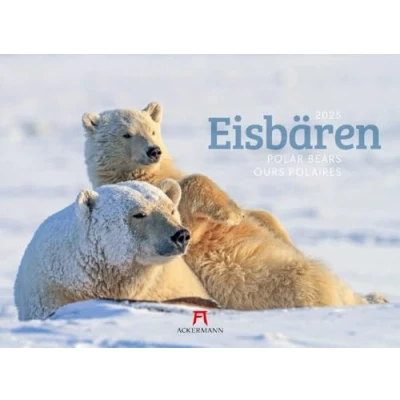 Abbildung von Eisbären Kalender 2025, Wandkalender im Querformat (45x33 cm) Tierkalender