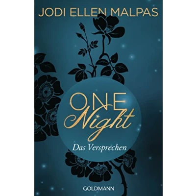 Abbildung von One Night Das Versprechen: Erotischer Roman (Die Saga, Band 3)