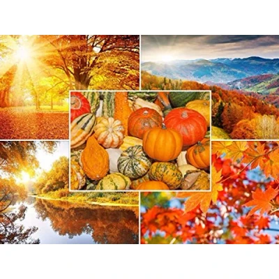 Abbildung von Edition Colibri HERBST LANDSCHAFTEN: 20 er Postkarten Set (5 Motive x 4 St.) für Postcrossing und Vielschreiber (10695 99)