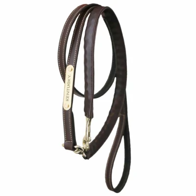 Abbildung von Kentucky Kette Leather Covered Braun 270cm