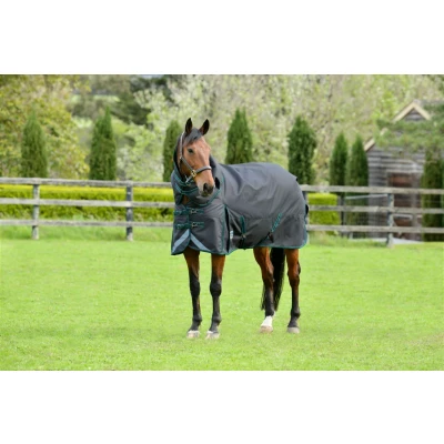 Abbildung von Weatherbeeta ComFiTec Plus Dynamic II Detach A Neck 110g Dark Green