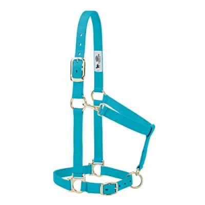 Abbildung von Weaver Leather Basic Halfter aus Nylon, verstellbar, türkis, 2,5 cm kleines Pferd