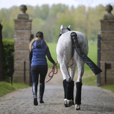 Abbildung von Kentucky Bandage Pad Stable Schwarz Warmblut