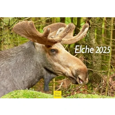 Abbildung von Edition Seidel Premium Kalender Elche 2025 Format DIN A3 Wandkalender Tierkalender Skandinavien Wildtiere Waldtiere Elch Kuh Hirsch Kalb
