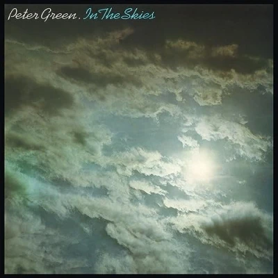 Abbildung von In the Skies [Vinyl LP]