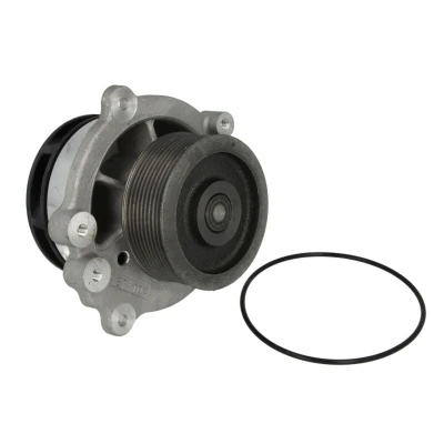 Abbildung von THERMOTEC WP DF113 Wasserpumpe