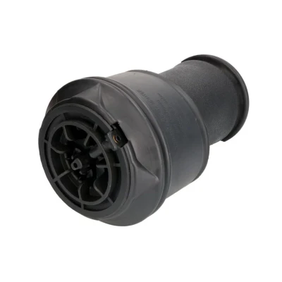 Abbildung von Magnum Technology MZC001MT Luftfeder, Fahrwerk Hinterachse CITROËN: C4 I Grand Picasso, Picasso 1