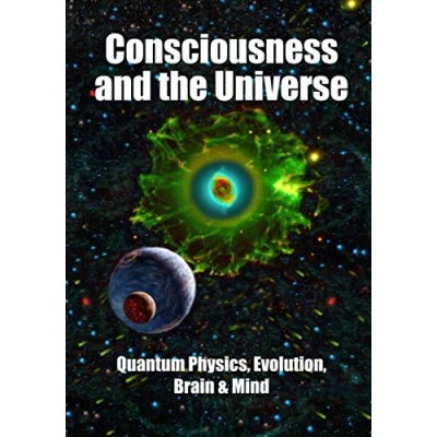 Abbildung von Consciousness and the Universe: Quantum Physics, Evolution, Brain &amp; Mind