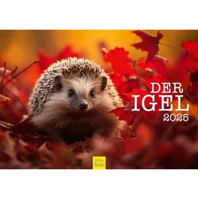 Abbildung von Edition Seidel Premium Kalender Der Igel 2025 Format DIN A3 Wandkalender Tierkalender Tier Wald heimische Wildtiere Waldtiere