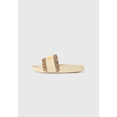 Abbildung von PUMA Damen Leadcat 2.0 Animal Flair Pantoletten, Alpine Snow Gold