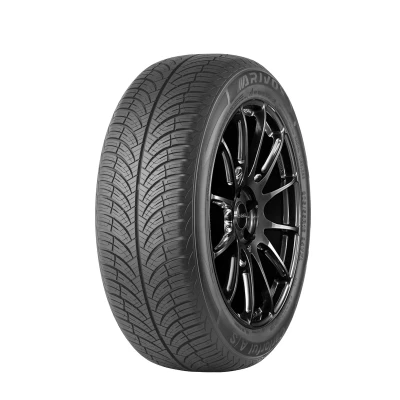Abbildung von ARIVO Carlorful A/S 215/65 R17 99T PKW Ganzjahresreifen Reifen 2EAR859