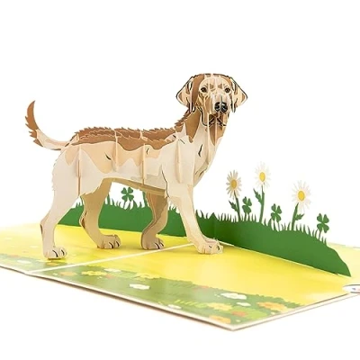 Abbildung von LIMAH® Pop Up Hundekarte, Geburtstagskarte, Glückwunschkarte, Freundschaftskarte, Geschenkkarte, Überraschungskarte mit einem großen Hund (Labrador) und einer grünen 3D Wiese (Beige)