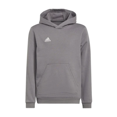 Abbildung von adidas Unisex Kinder Entrada 22 Sweat Hoodie, Team Grey Four, 116
