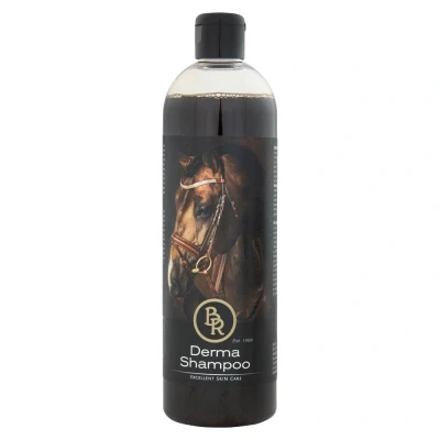 Abbildung von BR Derma Shampoo 500ml 500 ml Sortiment