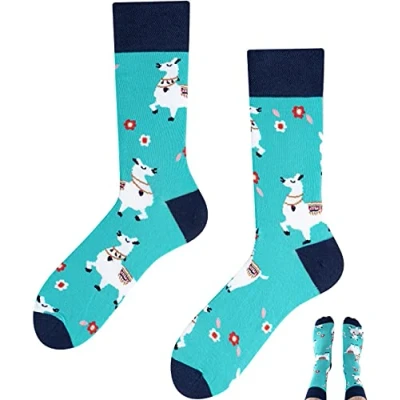 Abbildung von TODO Lustige Socken Herren und Damen, Coole mit Motiv Bunte, Mehrfarbige, Verrückte (39 42, Kamera)