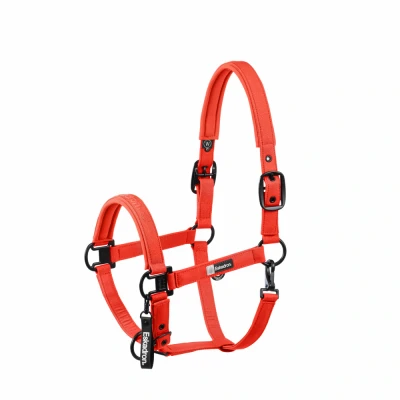 Abbildung von Eskadron Halfter Dynamics Sparkle Double Pin Rot XWarmblut Agradi.deVerkauft von Agradi