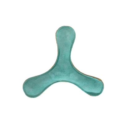 Abbildung von Kentucky Hundespielzeug Boomerang Pastel Smaragdgrün
