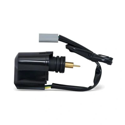 Abbildung von E Choke Maxtuned für Piaggio/Gilera 2T Modelle (Dellorto) Stecker grau oval