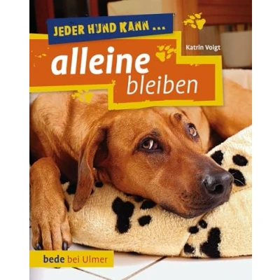 Abbildung von Jeder Hund kann alleine bleiben: Keine Angst vor dem Alleinsein