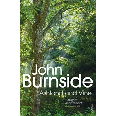 Abbildung von Ashland &amp; Vine: Nominiert: Saltire Society Fiction Book of the Year 2017