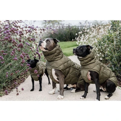 Abbildung von Kentucky Hundedecke Winter Pina 160g Pine Green XS