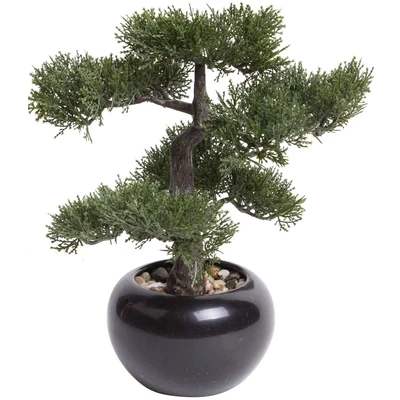 Abbildung von Botanic Haus Kunstbonsai »Ceder Bonsai«
