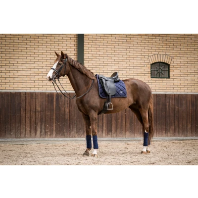 Abbildung von HB Showtime Schabracke Crown Dressur Navy Pony