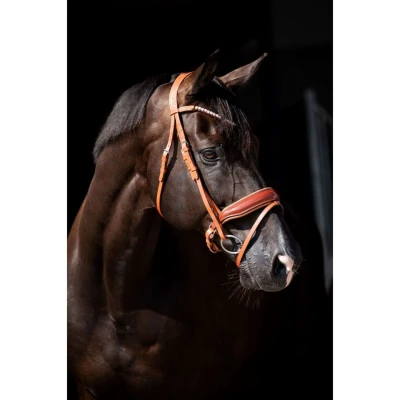 Abbildung von HB Showtime Bridle Ulani
