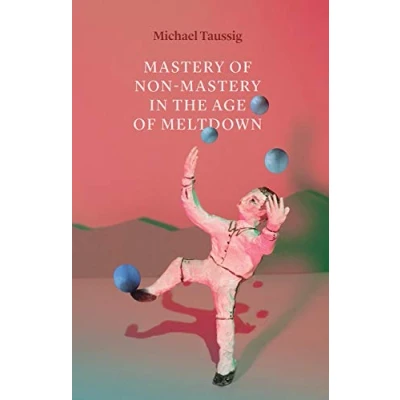 Abbildung von Mastery of Non in the Age Meltdown