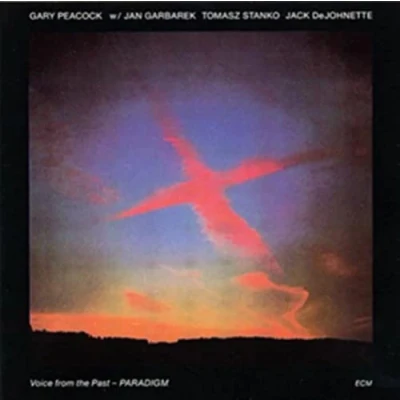 Abbildung von Voice from the Past Paradigm [Vinyl LP]