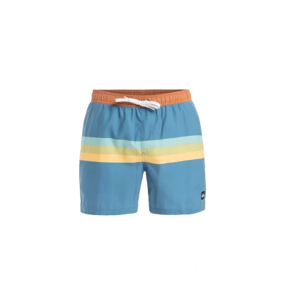 Abbildung von Quiksilver Everyday Straight Badeshorts, Herren, Größe: XL, Blq