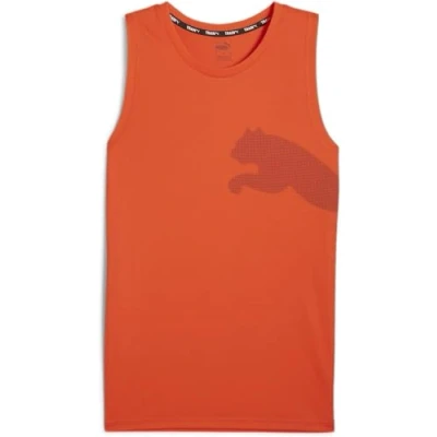 Abbildung von Puma Train ALL DAY BIG CAT TANK Top, Herren, Größe: Small, Redmazing