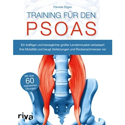 Abbildung von Training für den Psoas: Ein kräftiger und beweglicher großer Lendenmuskel verbessert Ihre Mobilität beugt Verletzungen Rückenschmerzen vor