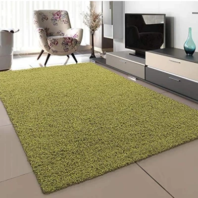 Abbildung von SANAT Teppich Wohnzimmer Hellgrün Hochflor Langflor Teppiche Modern, Größe: 80x150 cm