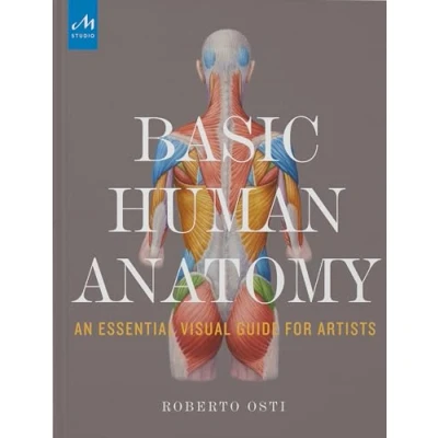 Abbildung von Basic Human Anatomy: An Essential Visual Guide for Artists