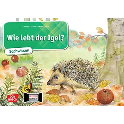 Abbildung von Wie lebt der Igel? Kamishibai Bildkartenset.: Entdecken Erzählen Begreifen: Sachwissen. Eine Sachgeschichte für das Kamishibai. Geeignet den ... 1 bis 4. (Sachwissen Kamishibai)