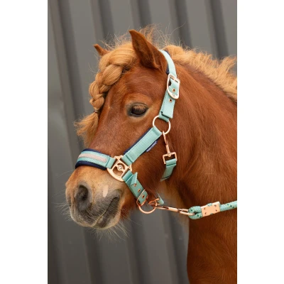 Abbildung von Harry&#039;s Horse Halfterset Samara CantonVerkauft von Agradi