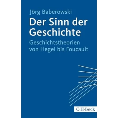 Abbildung von der Sinn Geschichte: Geschichtstheorien von Hegel bis Foucault (Beck Paperback)