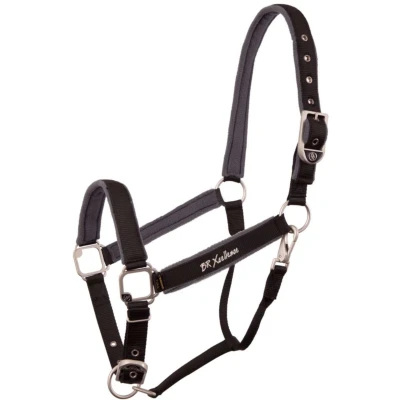 Abbildung von BR Halfter Xcellence Verstellverschluss Schwarz Pony