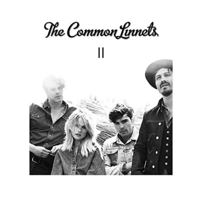 Abbildung von The Common Linnets