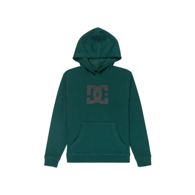Abbildung von DC Shoes Kapuzensweatshirt »DC Star«