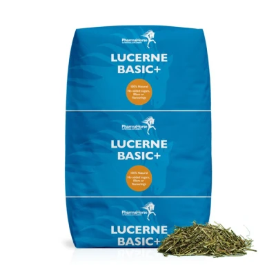 Abbildung von Lucerne Basic+