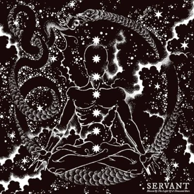 Abbildung von Blessed By the Light of a Thousand Stars (Black VI [Vinyl LP]